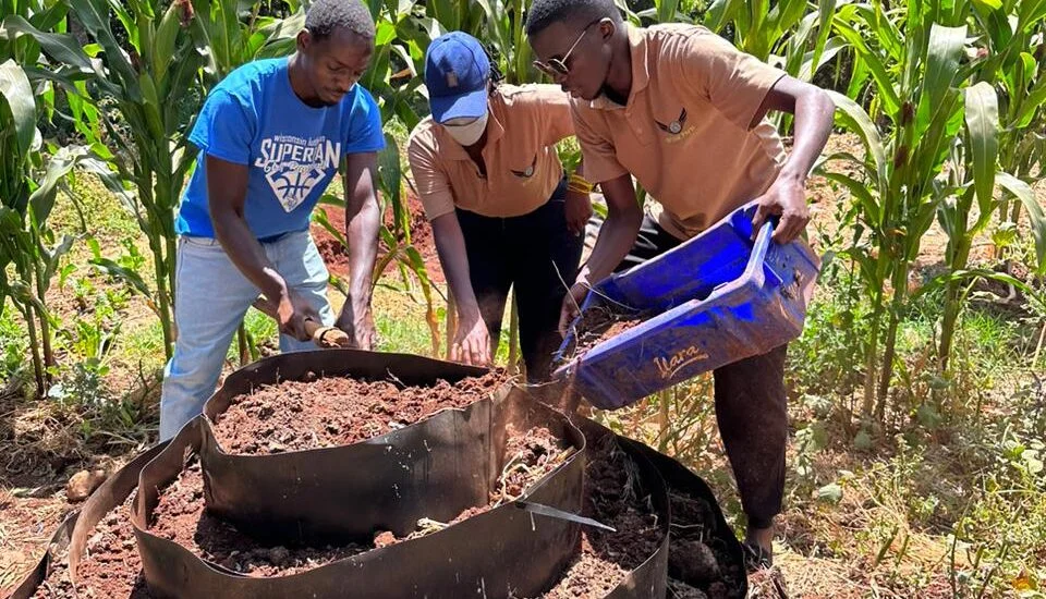 Farm activity and training