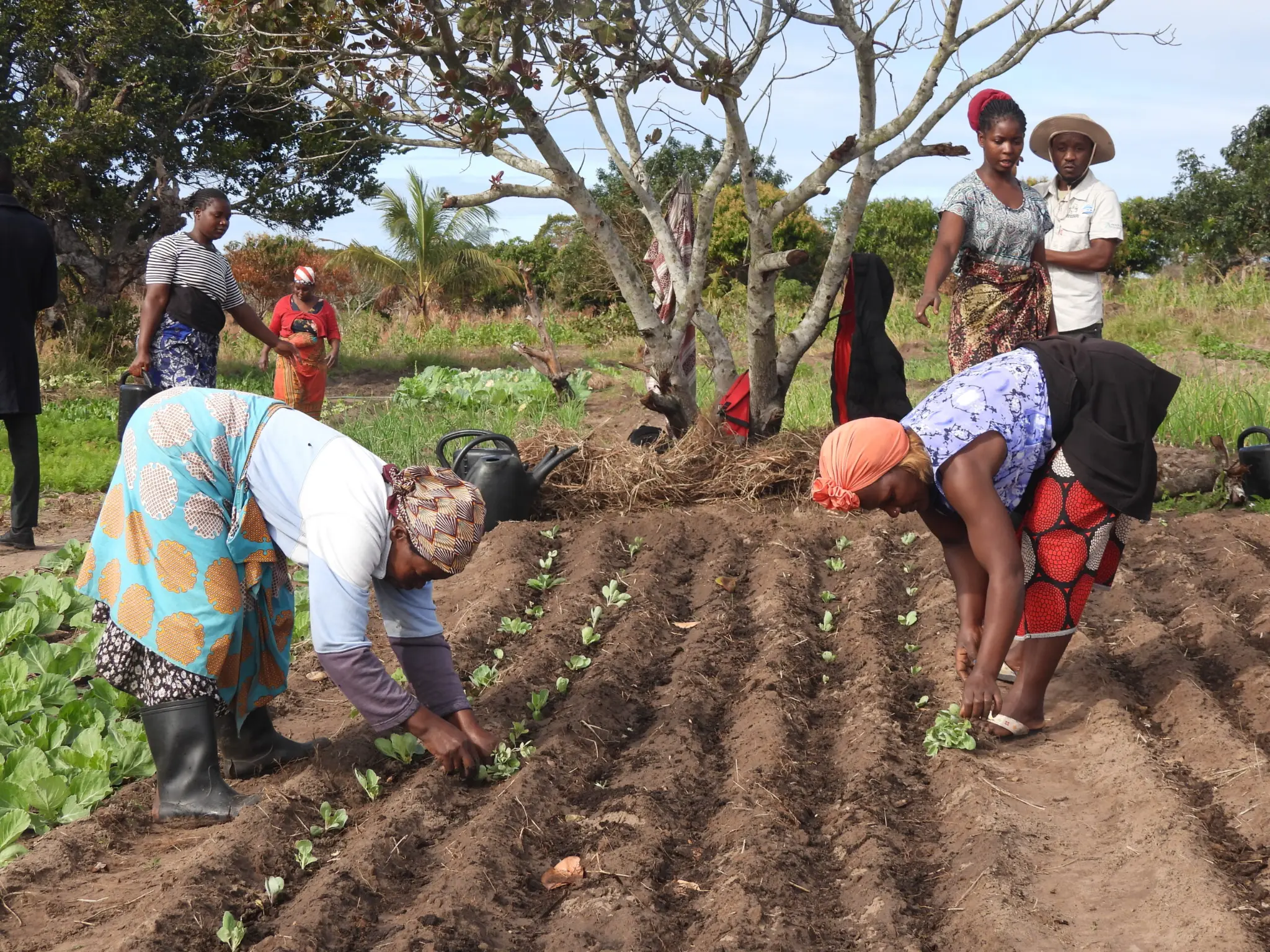 Community farm workers
